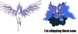 Size: 1091x481 | Tagged: safe, princess luna, g4, sleepless in ponyville, caption, helios, lulios, sailor moon (series), shipping