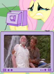 Size: 563x771 | Tagged: safe, fluttershy, pony, g4, alan grant, exploitable meme, fluttercry, john hammond, jurassic park, meme, photo, tv meme