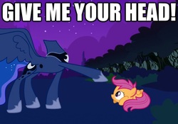 Size: 625x438 | Tagged: safe, princess luna, scootaloo, the headless horse, headless horse, g4, headless, image macro