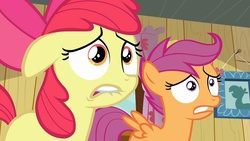Size: 1280x720 | Tagged: safe, screencap, apple bloom, scootaloo, earth pony, pegasus, pony, g4, hearts and hooves day (episode), season 2, apple bloom's bow, bow, duo, female, filly, frown, golden eyes, hair bow, lip bite, magenta hair, magenta mane, magenta tail, orange body, orange coat, orange fur, orange pony, orange wings, purple eyes, reaction image, red hair, red mane, wings, worried, yellow body, yellow coat, yellow fur, yellow pony