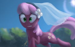 Size: 1440x900 | Tagged: dead source, safe, artist:grissaecrim, cheerilee, earth pony, pony, g4, hearts and hooves day (episode), clip studio paint, female, mare, running, scene interpretation, solo, veil, wedding