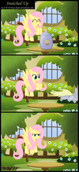 Size: 1248x2708 | Tagged: safe, artist:toxic-mario, derpy hooves, fluttershy, pegasus, pony, g4, comic, duo, duo female, female, fluttershy's cottage, mare, muffin, photoshop