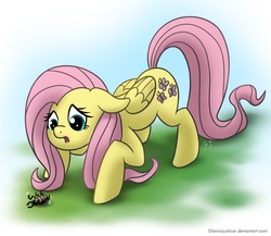 Size: 1200x1040 | Tagged: safe, artist:glancojusticar, fluttershy, beetle, pegasus, pony, g4, female, floppy ears, mare, sad, solo