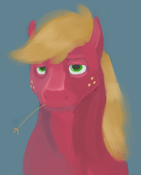 Size: 1000x1238 | Tagged: safe, artist:sb, big macintosh, earth pony, pony, g4, bust, front view, full face view, male, portrait, simple background, solo, stallion