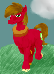 Size: 740x1000 | Tagged: safe, artist:sb, big macintosh, earth pony, pony, g4, cloud, grass, grass field, male, sky, solo, stallion, unshorn fetlocks