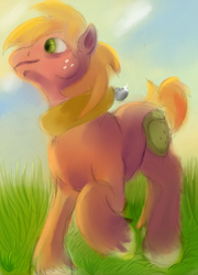 Size: 719x1000 | Tagged: safe, artist:sb, big macintosh, earth pony, pony, g4, grass, male, solo, stallion