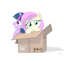 Size: 900x750 | Tagged: safe, artist:zlack3r, fluttershy, twilight sparkle, pegasus, pony, unicorn, g4, box, cardboard box, cute, duo, female, flutterbox, mare, pony in a box, shyabetes, simple background, twiabetes, unicorn twilight, white background