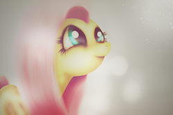 Size: 975x650 | Tagged: safe, artist:fra-92, fluttershy, pegasus, pony, g4, female, looking up, mare, photoshop, solo