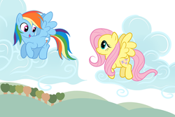 Size: 3000x2000 | Tagged: dead source, safe, artist:grumblepluck, fluttershy, rainbow dash, pegasus, pony, g4, female, flying, high res, mare