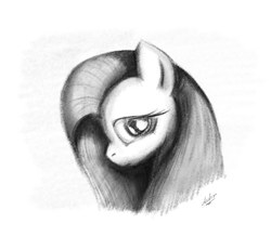 Size: 1024x896 | Tagged: safe, artist:zlack3r, fluttershy, pegasus, pony, g4, female, grayscale, mare, monochrome, profile, simple background, sketch, solo