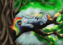 Size: 1023x723 | Tagged: dead source, safe, artist:steamroller988, rainbow dash, pegasus, pony, g4, female, mare, sleeping, solo, tree, tree branch