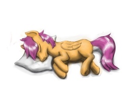 Size: 1023x723 | Tagged: dead source, safe, artist:steamroller988, scootaloo, pegasus, pony, g4, female, filly, pillow, simple background, sleeping, solo