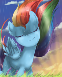 Size: 642x800 | Tagged: dead source, safe, artist:loyaldis, rainbow dash, pegasus, pony, g4, eyes closed, female, happy, mare, rain, smiling, solo, standing