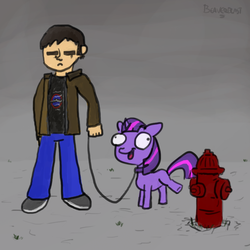 Size: 783x783 | Tagged: safe, artist:beaverblast, twilight sparkle, human, pony, unicorn, g4, collar, derp, duo, female, fire hydrant, leash, mare, open mouth, open smile, peeing on a fire hydrant, pet, pettwi, pony pet, smiling, unicorn twilight