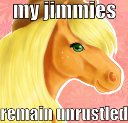 Size: 829x800 | Tagged: artist needed, safe, applejack, earth pony, horse, pony, g4, abstract background, female, image macro, jimmies, mare, meme, realistic, solo