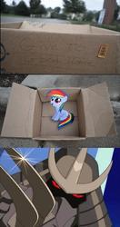 Size: 836x1584 | Tagged: safe, rainbow dash, pegasus, pony, fanfic:my little dashie, g4, box, dashie meme, evil people finding dash meme, exploitable meme, female, filly, filly rainbow dash, filly rainbow dash in a box, meme, pony in a box, teenage mutant ninja turtles, the shredder, tmnt 2003 series, younger