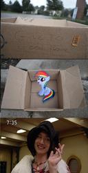 Size: 816x1598 | Tagged: safe, rainbow dash, pegasus, pony, fanfic:my little dashie, g4, basco ta jolokia, box, dashie meme, evil people finding dash meme, exploitable meme, female, filly, filly rainbow dash, filly rainbow dash in a box, gokaiger, meme, pony in a box, super sentai, younger