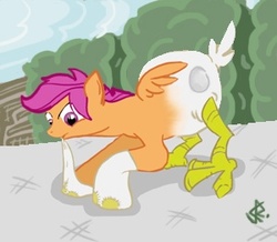 Size: 300x262 | Tagged: safe, artist:amehdaus, scootaloo, hybrid, g4, animal costume, chicken suit, clothes, costume, female, mouth hold, not salmon, scootachicken, socks, solo, wat