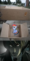 Size: 1329x2681 | Tagged: safe, rainbow dash, pegasus, pony, fanfic:my little dashie, g4, box, dashie meme, death note, evil people finding dash meme, exploitable meme, female, filly, light yagami, meme, pony in a box