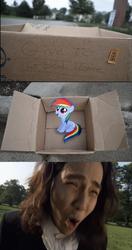 Size: 836x1586 | Tagged: safe, rainbow dash, pegasus, pony, fanfic:my little dashie, g4, box, dashie meme, evil people finding dash meme, exploitable meme, female, filly, kamen rider, kamen rider kiva, meme, pony in a box, spider fangire