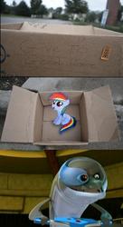 Size: 832x1529 | Tagged: artist needed, source needed, safe, rainbow dash, dolphin, pegasus, pony, fanfic:my little dashie, g4, box, dashie meme, dr. blowhole, evil people finding dash meme, exploitable meme, female, filly, male, meme, pony in a box, the penguins of madagascar, xk-class end-of-the-world scenario