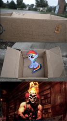 Size: 832x1492 | Tagged: safe, rainbow dash, pegasus, pony, fanfic:my little dashie, g4, box, dashie meme, evil people finding dash meme, exploitable meme, female, filly, meme, needles kane, pony in a box, sweet tooth (twisted metal), twisted metal