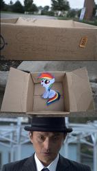 Size: 832x1463 | Tagged: safe, rainbow dash, pegasus, pony, g4, box, dashie meme, evil people finding dash meme, exploitable meme, female, filly, isaka, kamen rider, kamen rider w, meme, open mouth, pony in a box, sitting, smiling