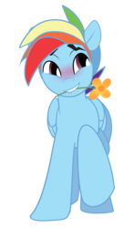 Size: 1477x2513 | Tagged: safe, artist:wicklesmack, rainbow dash, pegasus, pony, g4, aside glance, blitzabetes, blushing, cute, dashabetes, flower, flower in mouth, grin, lip bite, male, mouth, mouth hold, rainbow blitz, raised hoof, rule 63, rule63betes, simple background, smiling, solo, squee, stallion, transparent background
