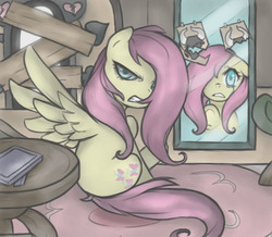 Size: 733x639 | Tagged: dead source, safe, artist:soulspade, fluttershy, pegasus, pony, g4, putting your hoof down, duality, female, flutterbitch, fluttershy's cottage, mare, mirror, new fluttershy, sitting, solo
