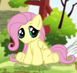Size: 709x672 | Tagged: safe, artist:megasweet, fluttershy, pegasus, pony, g4, cute, female, filly, fluttershy's cottage, foal, gif, looking at you, non-animated gif, shadow, sitting, solo