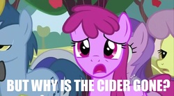 Size: 640x354 | Tagged: safe, edit, edited screencap, screencap, amethyst star, berry punch, berryshine, blues, noteworthy, parasol, sparkler, earth pony, pegasus, pony, unicorn, g4, season 2, the super speedy cider squeezy 6000, female, image macro, male, mare, meme, pirates of the caribbean, stallion, why is the rum gone