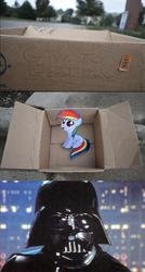 Size: 829x1543 | Tagged: safe, rainbow dash, human, pegasus, pony, fanfic:my little dashie, g4, box, darth vader, dashie meme, evil people finding dash meme, exploitable meme, female, filly, meme, pony in a box, star wars