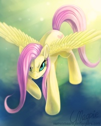 Size: 800x1000 | Tagged: dead source, safe, artist:laurenmagpie, fluttershy, pegasus, pony, g4, badass, determined, female, flutterbadass, mare, solo, spread wings, wings