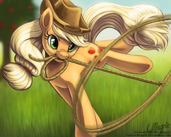 Size: 900x720 | Tagged: dead source, safe, artist:laurenmagpie, applejack, earth pony, pony, g4, female, grass, lasso, mare, mouth hold, rope, solo