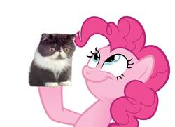 Size: 1184x855 | Tagged: safe, pinkie pie, earth pony, pony, g4, dick figures, female, kitty amazing, look what pinkie found, mare, meme, simple background, white background
