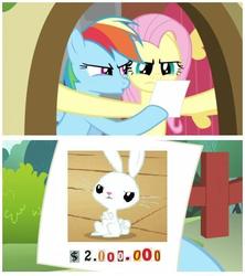 Size: 510x575 | Tagged: safe, angel bunny, fluttershy, rainbow dash, pegasus, pony, g4, female, mare, meme