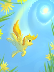 Size: 813x1100 | Tagged: safe, artist:tomatocoup, spitfire, pegasus, pony, g4, bandaid, female, flower, flying, mare, perspective, solo, sun