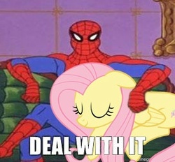 Size: 272x252 | Tagged: safe, fluttershy, pegasus, pony, g4, 60s spider-man, deal with it, female, floppy ears, male, mare, meme, spider-man