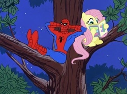 Size: 544x400 | Tagged: safe, fluttershy, pegasus, pony, g4, 60s spider-man, female, male, mare, meme, night, sitting, spider-man, tree