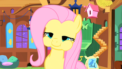 Size: 1600x900 | Tagged: safe, screencap, fluttershy, pegasus, pony, g4, season 1, stare master, cute, female, fluttershy is best facemaker, fluttershy's cottage, lidded eyes, mare, puffy cheeks, shyabetes, solo, swallow