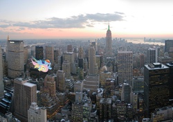 Size: 3328x2337 | Tagged: artist needed, safe, fluttershy, rainbow dash, pegasus, pony, g4, duo, female, flying, high res, irl, manhattan, mare, new york city, photo, ponies in real life, vector