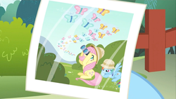 Size: 1600x900 | Tagged: safe, screencap, fluttershy, rainbow dash, butterfly, pegasus, pony, dragon quest, g4, season 2, angry, binoculars, bored, butterfly migration, cold opening, cute, duo, female, hat, looking at butt, looking up, madorable, mare, migration, photo, picture, pith helmet