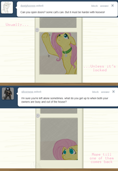 Size: 631x914 | Tagged: safe, artist:cartoonlion, fluttershy, oc, oc:futashy, pegasus, pony, ask futashy, futaverse, g4, ask, collar, doors, intersex, pet tag, solo