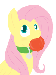 Size: 371x498 | Tagged: safe, artist:cartoonlion, fluttershy, oc, oc:futashy, pegasus, pony, ask futashy, futaverse, g4, apple, ask, collar, intersex, mouth hold, pet tag, simple background, solo, white background