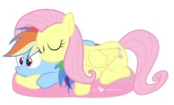 Size: 1160x700 | Tagged: safe, artist:dm29, fluttershy, rainbow dash, pegasus, pony, g4, behaving like a cat, cuddling, duo, female, folded wings, friendshipping, mare, show accurate, simple background, transparent background, wings