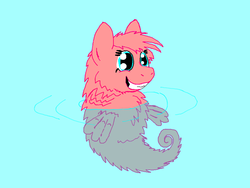 Size: 800x600 | Tagged: safe, artist:fluffsplosion, fluffy pony, sea pony, seahorse, fluffy pony original art, fluffy seapony