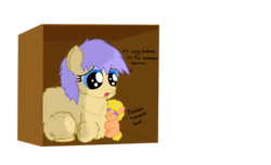 Size: 2730x1658 | Tagged: dead source, safe, artist:awildfantasy, fluffy pony, pony, abandoned, box, crying, fluffy pony foal, fluffy pony mother, fluffy pony original art, simple background, transparent background