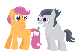 Size: 2048x1536 | Tagged: safe, artist:schwarzekatze4, rumble, scootaloo, pegasus, pony, g4, colt, female, filly, flower, flower in mouth, male, mouth hold, ship:rumbloo, shipping, simple background, straight, transparent background