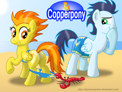 Size: 1024x774 | Tagged: safe, artist:aleximusprime, soarin', spitfire, lobster, pegasus, pony, g4, assisted exposure, bikini, butt, clothes, coppertone parody, female, looking back, male, mare, plot, stallion, swimsuit, tan lines, undressing