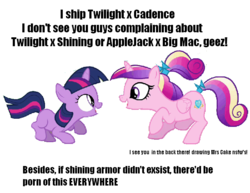 Size: 705x543 | Tagged: safe, princess cadance, twilight sparkle, alicorn, pony, unicorn, g4, duo, eye contact, female, filly, implied applejack, implied applemac, implied big macintosh, implied cup cake, implied incest, implied infidelity, implied shining armor, implied shiningsparkle, implied shipping, implied straight, lesbian, looking at each other, meta, pixelated, ship:twidance, shipping, simple background, sunshine sunshine, teen princess cadance, teenager, text, white background